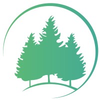 Forest Bay International
