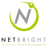 Net Bright Company Limited logo - Similar company to Network Infrastructure Company Limited