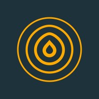 Safisana logo - Similar company to Skyecho B.V.