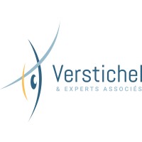 Verstichel et Experts Associés logo - Similar company to Spear