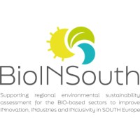 BioINSouth logo - Similar company to Promofer-Project