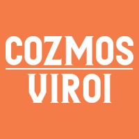 Cozmos Viroi shpk logo - Similar company to Infiniti Office