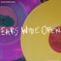 Ears Wide Open logo - Similar company to Instant Title Solutions