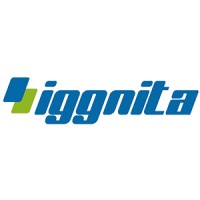 İggnita logo - Similar company to Topkapi Endustri
