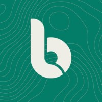 BlueLime Marketing logo - Similar company to Blue Sword Digital Marketing For Construction Industry