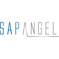 SAPANGEL SA logo - Similar company to I2000 - Informatique 2000 Sa