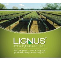 Lignus SAS logo - Similar company to Gm Holding