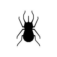 ABOUT: Creative Agency logo - Similar company to It'S A Hub