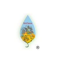 Silvflame Ltd logo - Similar company to Doopee Doo!