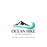 Oceanhike logo - Similar company to Motaconsulting