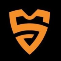 Viste Seguro logo - Similar company to Kiwk Trip