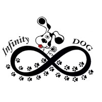 Infinity Dog logo - Similar company to Dex Engenharia E Consultoria
