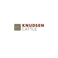 Knudsen Cattle logo - Similar company to Vicunia Ag
