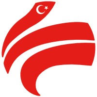 kalipsanayi.com logo - Similar company to Satishane.Com