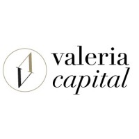 Valeria Capital AG logo - Similar company to Infinity Capital Sa