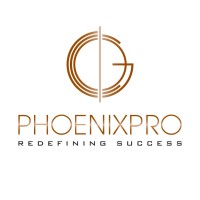 PHOENIXPRO Consultants logo - Similar company to Stepit