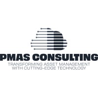 PMAS Consulting logo - Similar company to Instore Hub