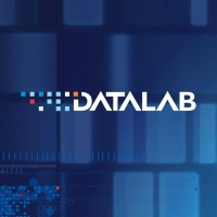 Datalab Consulting logo - Similar company to Dinnpro