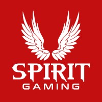 SPIRIT GAMING logo - Similar company to Mandiran | ماندایران