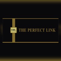 THE PERFECT LINK Audit & Forensics Services logo - Similar company to Perfect Link Ltd