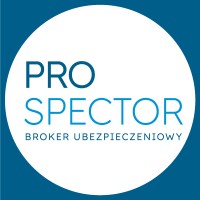 PROSPECTOR Grupa Konsultingowa Sp. z o.o. logo - Similar company to Storm It Tomasz Woliński