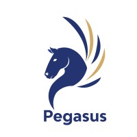 Pegasus Services