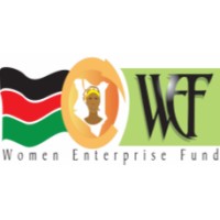 Women Enterprise Fund WEF logo - Similar company to Insights Wave