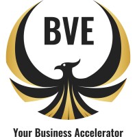 Business Vision Enforced logo - Similar company to Digital Don