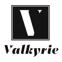 Valkyrie Fund logo - Similar company to Traini - Empathic Ai To Serve Pets Well-Being