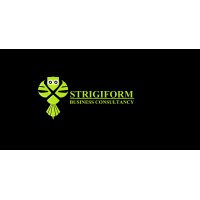 Strigiform Business Consultancy logo - Similar company to Orbital Infinity