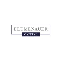 Blumenauer Capital GmbH logo - Similar company to Abis - Aufblühen Im Steinbruch