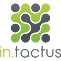 INTACTUS logo - Similar company to 6Ix Gestão Financeira