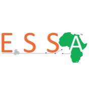 Energy Security Services Africa (Pty) Ltd logo - Similar company to Accelerated Value Generation Avg Ltd