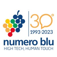 Numero Blu Servizi S.p.A. logo - Similar company to Nethex