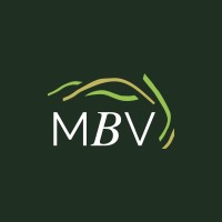 MBV - Movimento Brasil Verde logo - Similar company to Publitau