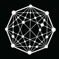 Octagon Networks logo - Similar company to Geez Security