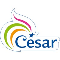 César SA logo - Similar company to Cesar Group