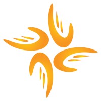Carmed İlaç logo - Similar company to Nolana
