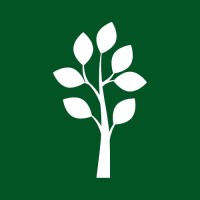 Teak Finance logo - Similar company to Mintingm