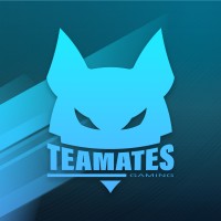 TEAMATES GAMING ESPORT logo - Similar company to Erisia