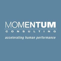 Momentum Consulting Inc. logo - Similar company to Mk Workshop