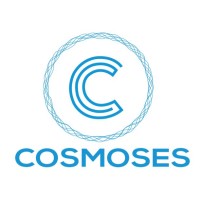 Cosmoses logo - Similar company to Planneraide