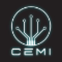 Cemi Electronic Media Institute [Cemi]