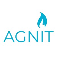 AGNIT Semiconductors logo - Similar company to Chipspirit