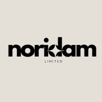 Noridam Limited logo - Similar company to Techbees Digital Agency
