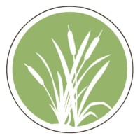 Mefi Nonprofit