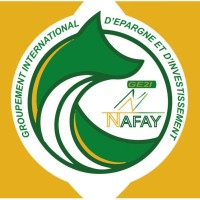 NAFAY GE2I GIE logo - Similar company to Fira Group Sas