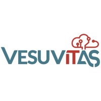 VesuvITas logo - Similar company to Topspin Tech