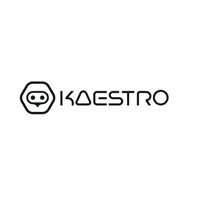 Kaestro Consulting logo - Similar company to Tripler | Lead Conversion Platform