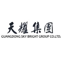 Guangdong Sky Bright Group Co.,Ltd. logo - Similar company to Henan Efficient Technology Co., Ltd.